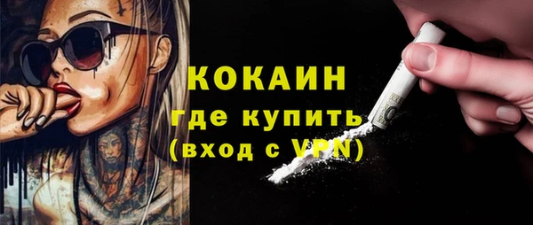 индика Кукмор