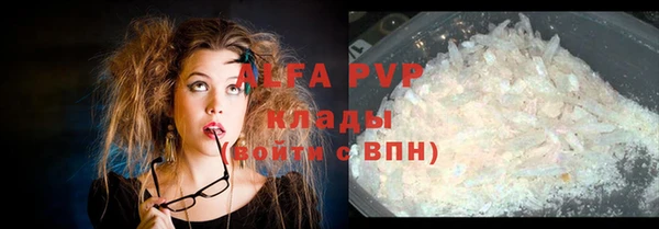 индика Кукмор