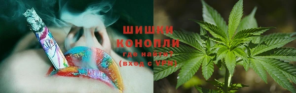 крисы Кулебаки