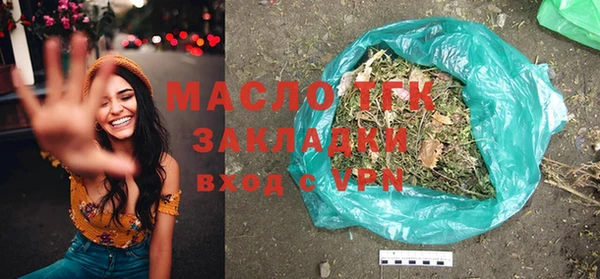 крисы Кулебаки
