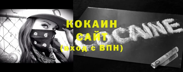 индика Кукмор