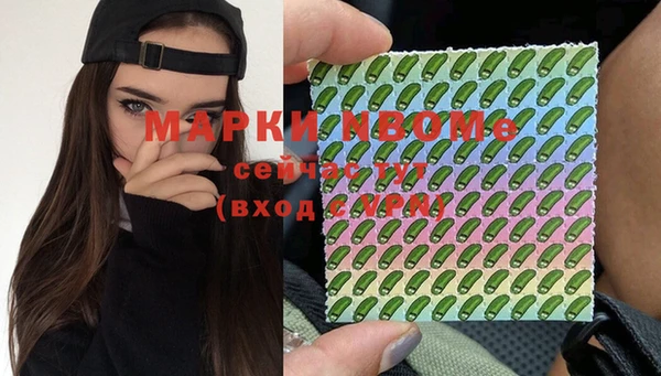 индика Кукмор
