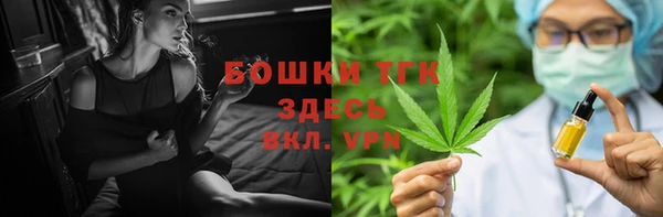 индика Кукмор
