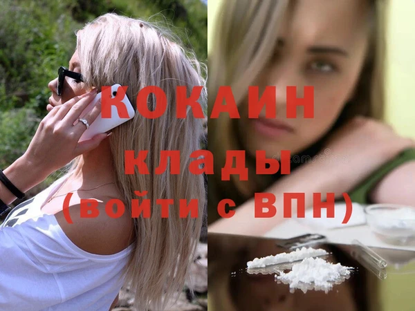 крисы Кулебаки
