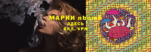 индика Кукмор