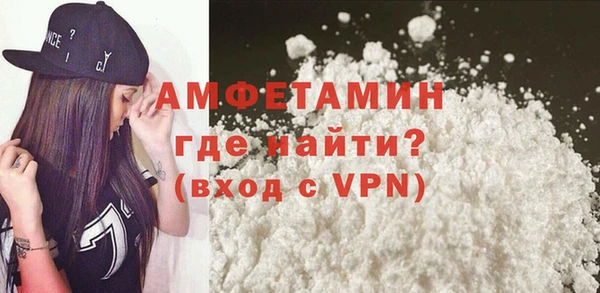 крисы Кулебаки