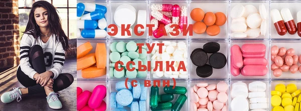 крисы Кулебаки