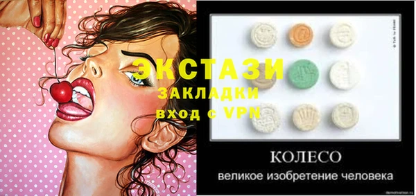 крисы Кулебаки