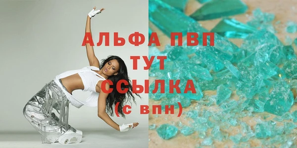крисы Кулебаки