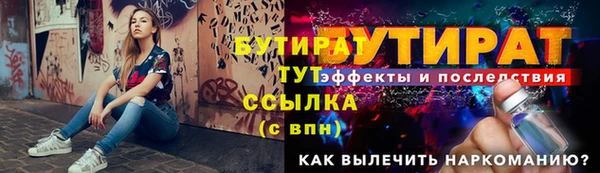 крисы Кулебаки