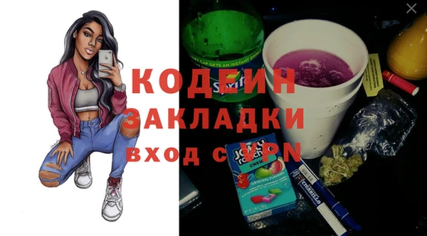 крисы Кулебаки