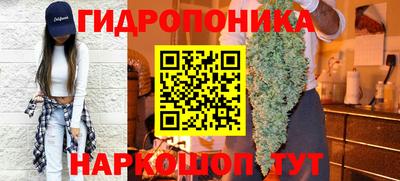 гашик Кунгур