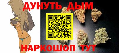 гашик Кунгур
