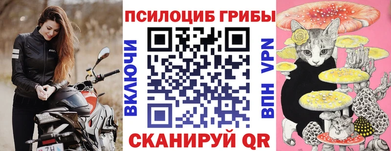 Галлюциногенные грибы Magic Shrooms где найти Чернушка