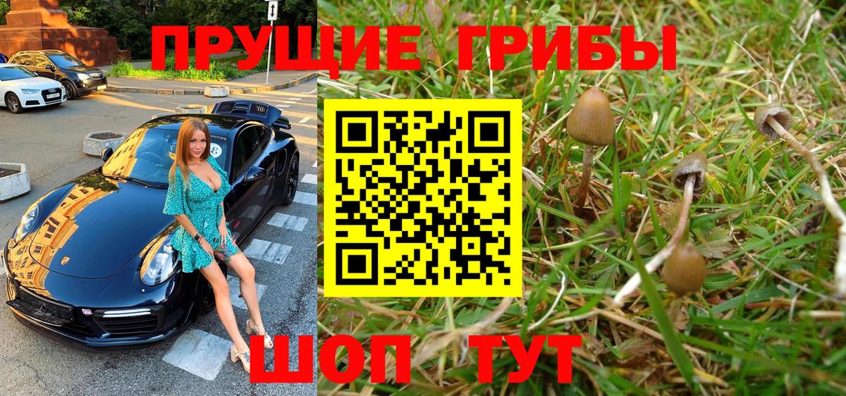 Псилоцибиновые грибы Magic Shrooms  Галлюциногенные грибы прущие грибы  Чернушка  Вход с VPN 