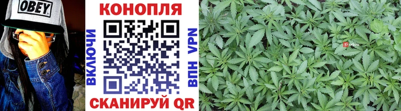 МАРИХУАНА тримм  магазин продажи наркотиков  Чернушка 